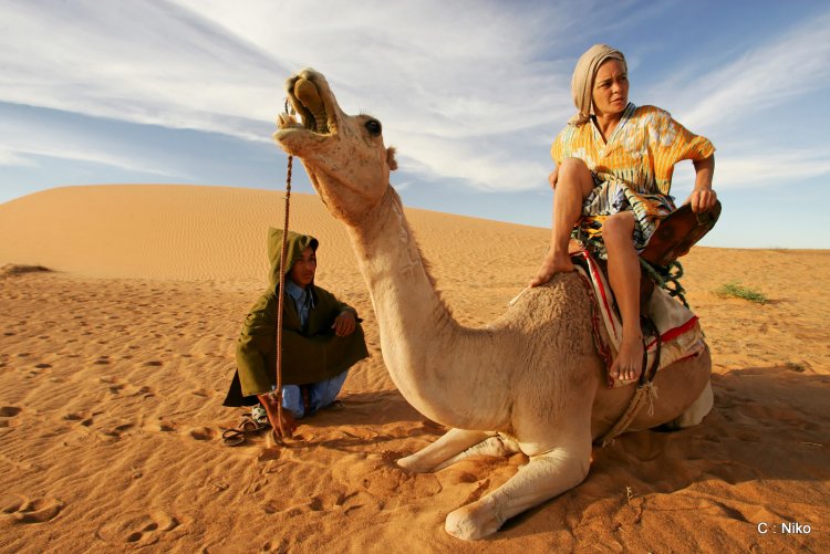 Camel travelers
