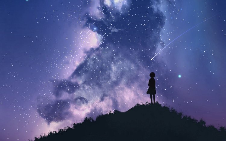Silhouette against the background of the starry sky