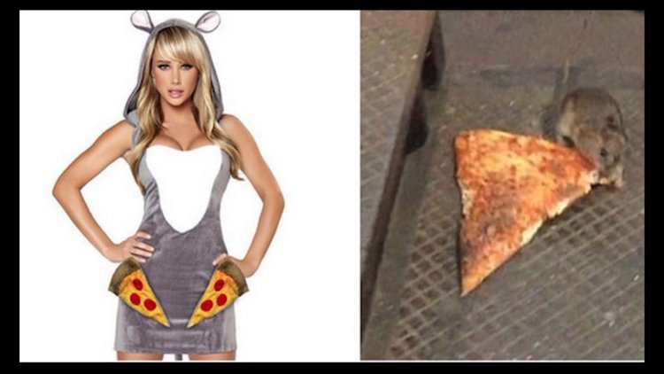 Terrible rats of rats