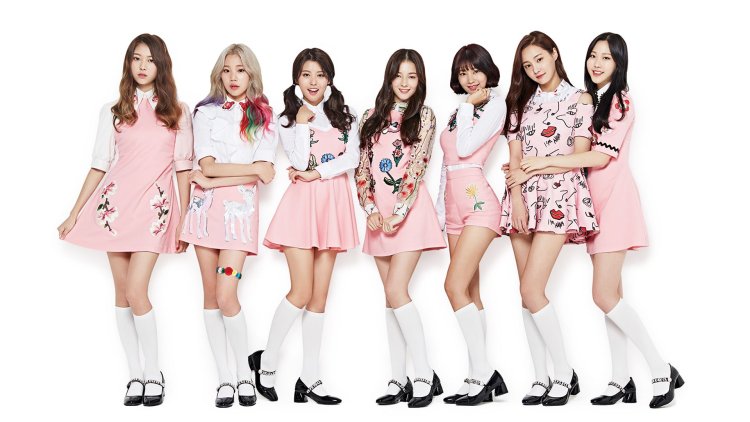 MOMOLAND group participants