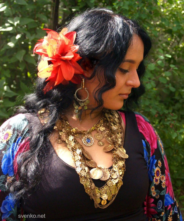 The Gypsy ensemble of Svenko