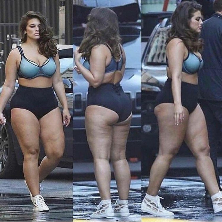 Fat Model Ashley Graham
