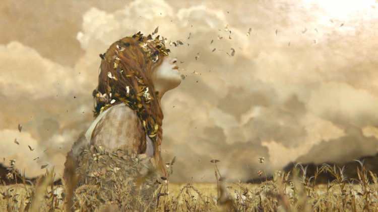 Anne series Aesthetics