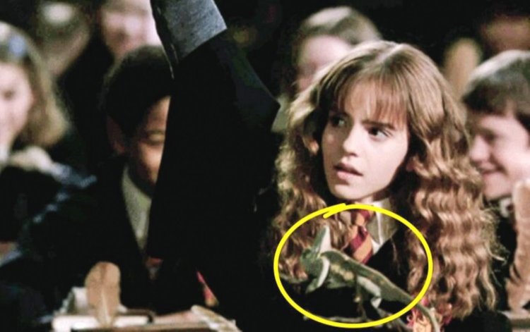 Harry Potter and Hermione's Secret Room