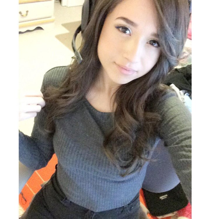 Pokimane Figure Parameters