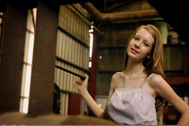 Alex Collins Model Anal