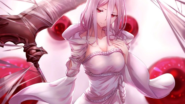 Kumo Desu Ga, Nani Ka?