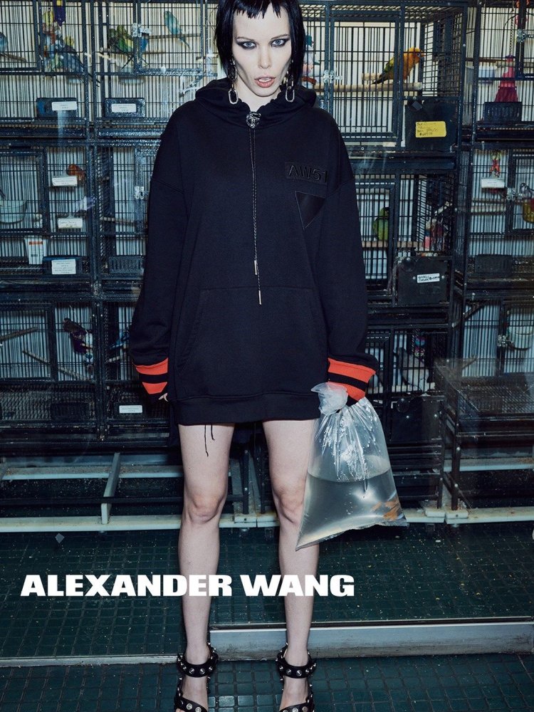 Alice Glass Alexander Wang