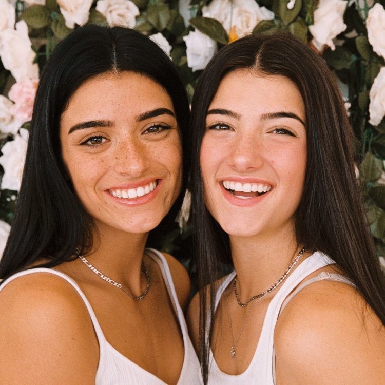 Charlie Damelio merged