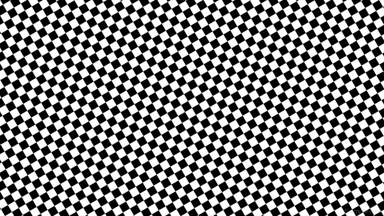 Paparazzi dixes Damelio