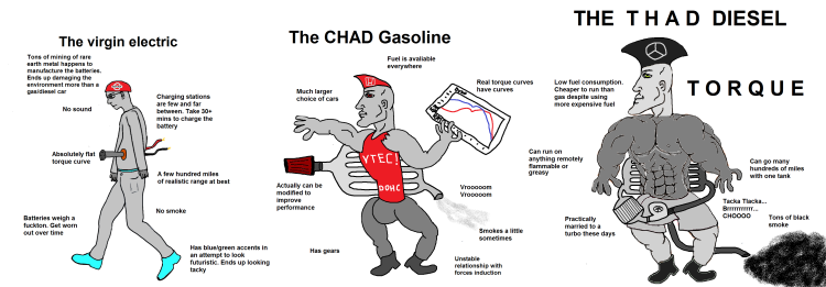 CARICATION CHAD