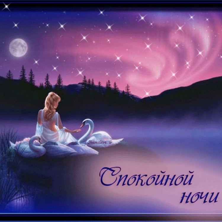 Subovish -free night