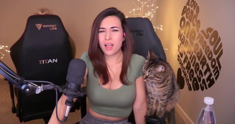 Alinity Twitch Pillow