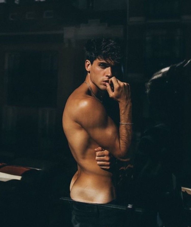 Daniel Illeskas torsos