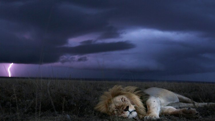 Good night thunderstorm