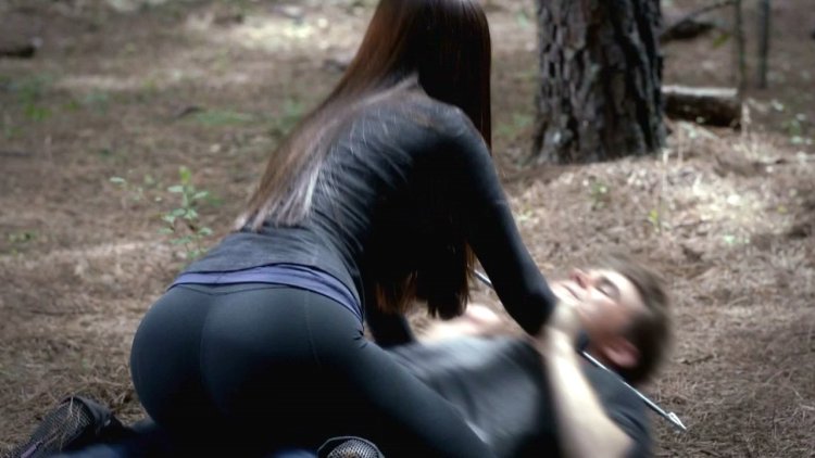 Nina Dobrev Diaries of the Vampire Pla