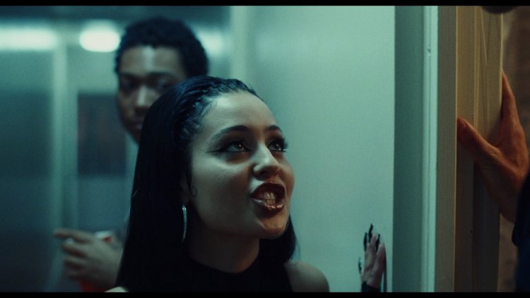 The series of euphoria 2022