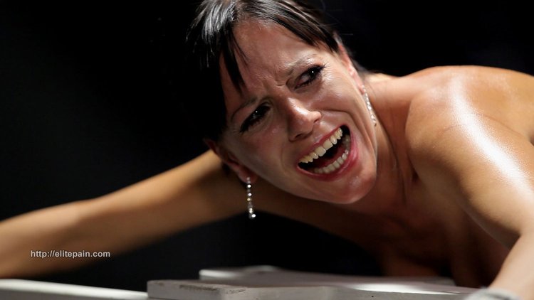 Elite Pain Wheel of Pain