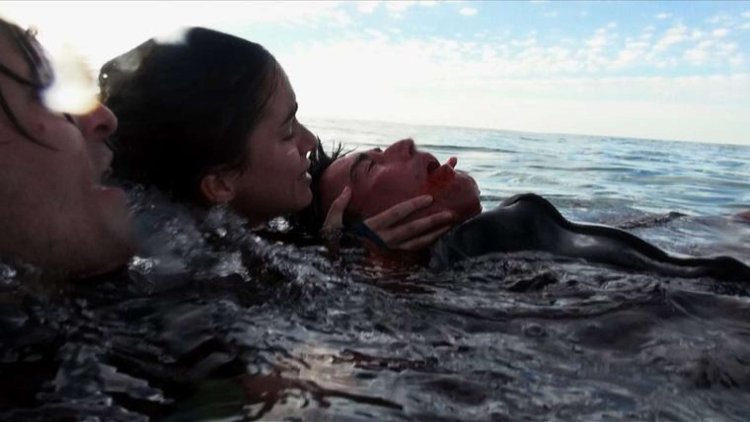 Above the depth: Chronicle of Survival / Cage Dive (2016)