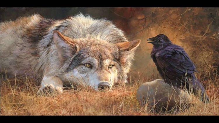 Wolves and crows
