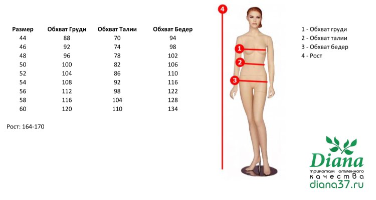 Zsmer breasts, waist, hips