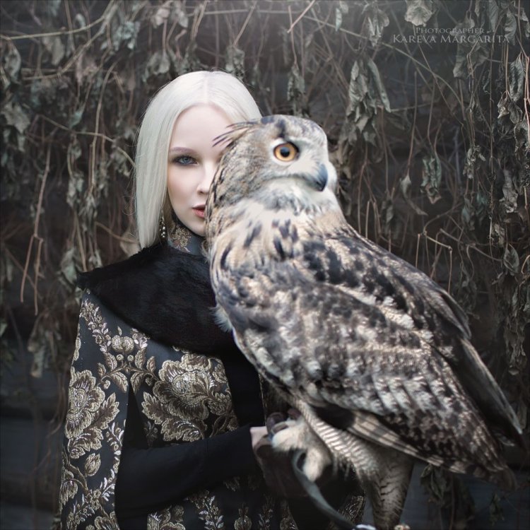 Girl with owl photo session