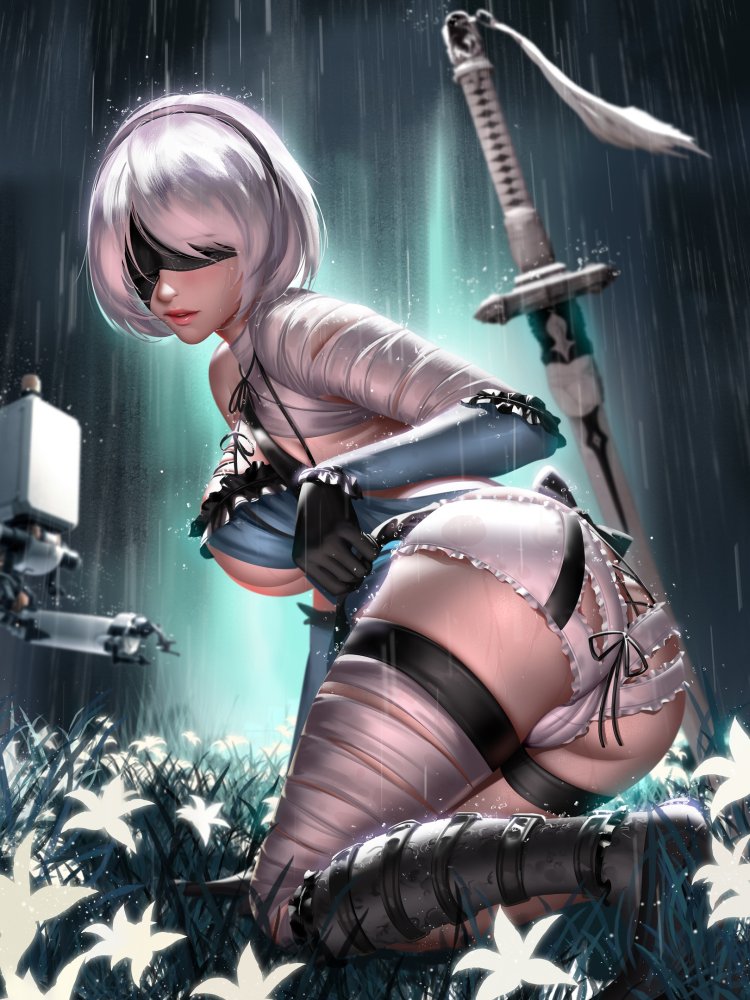 Nier automata characters 2b
