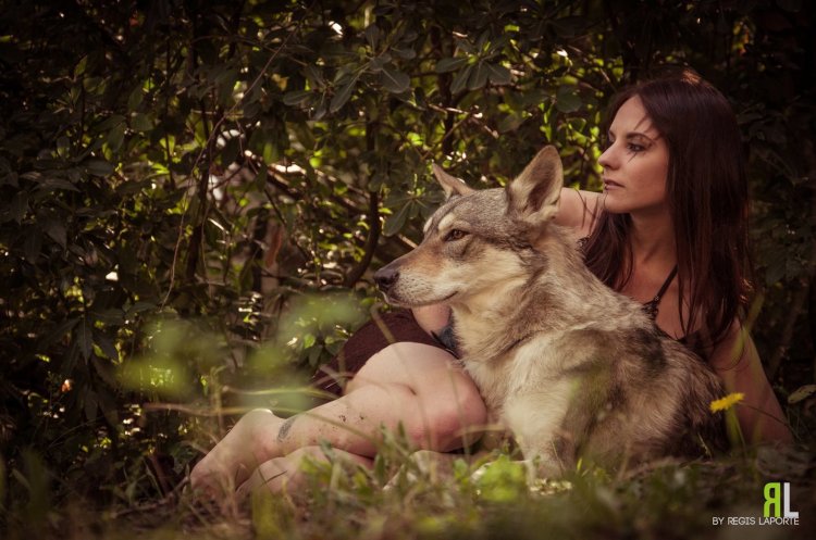 Photoshoot with a wolf