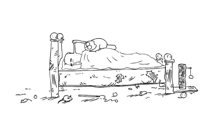 Cat Simon Kotobudinnik