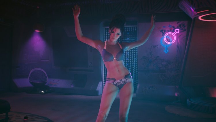 Cyberpunk 2077 Panama Palmer Hot