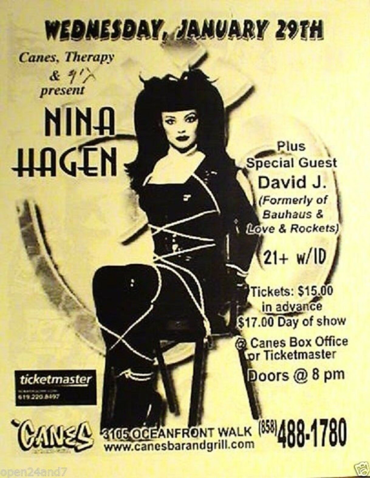 Nina Hagen poster