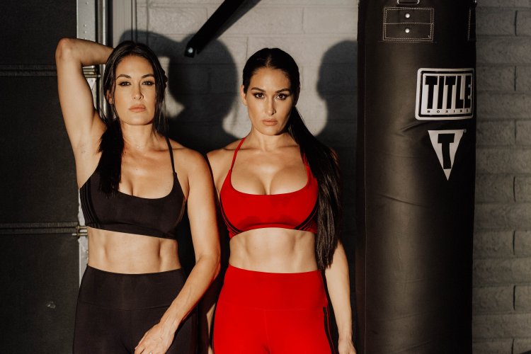 Nikki Brie the Bella Twins
