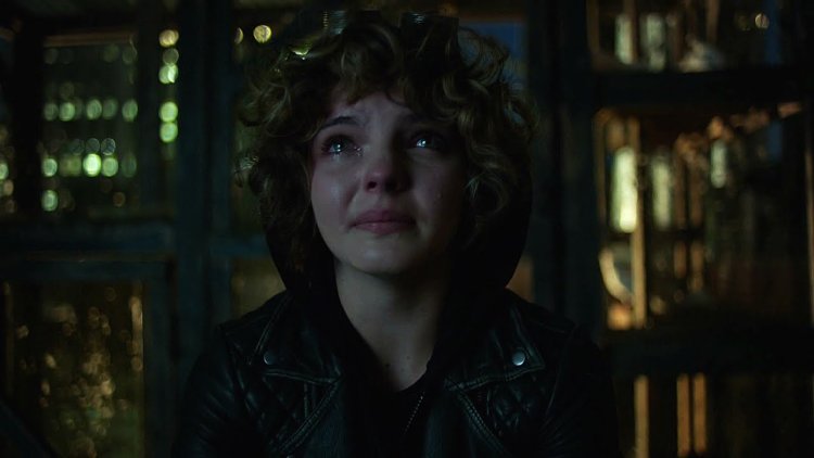 Gotham Selina Kyle adult series