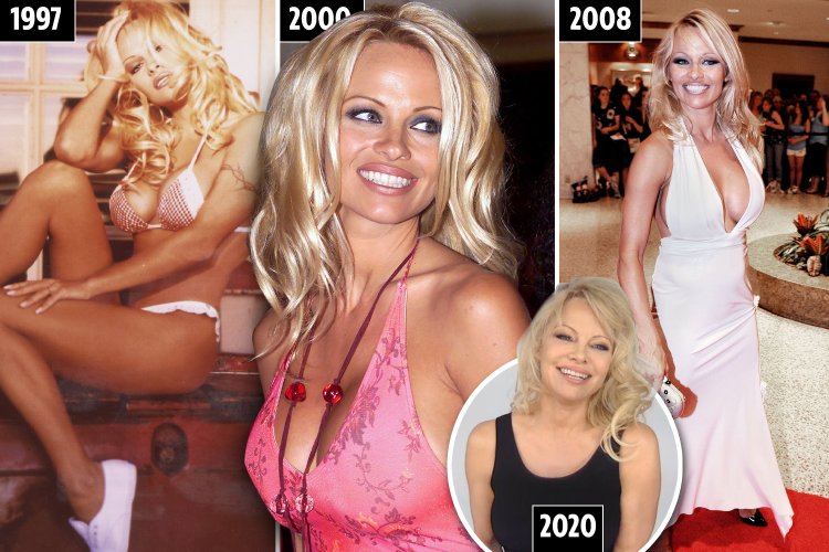 Pamella Anderson now
