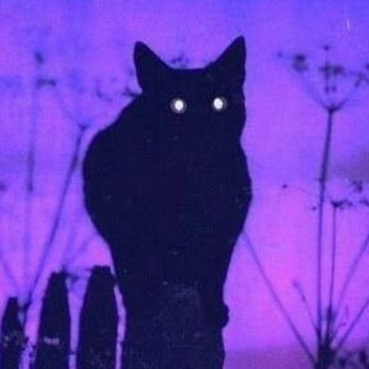 BELLE DELPHINE TONGUE AHEGAO