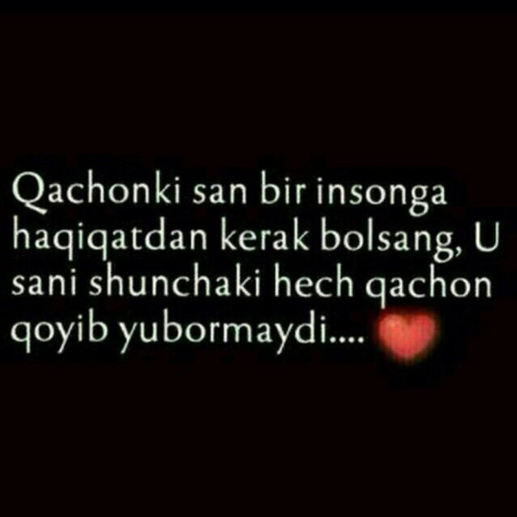 Manoli Status Sherlar