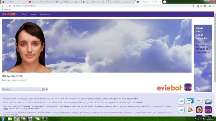 A conversation with a bot