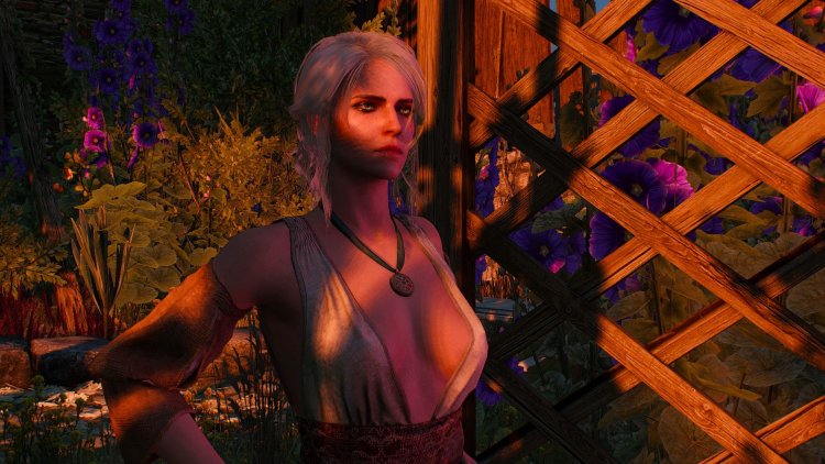 Witcher and Tsiri bed scene