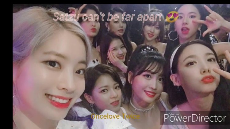 In what year did Twisse debut