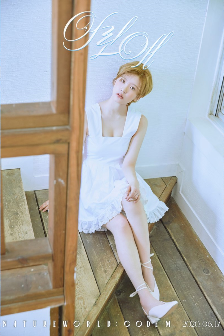 Group Nature Sunshine