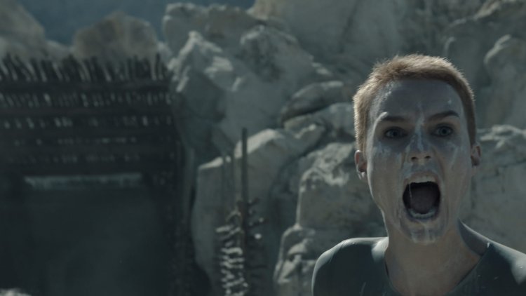 Boarded by the wolves of Amanda Colin