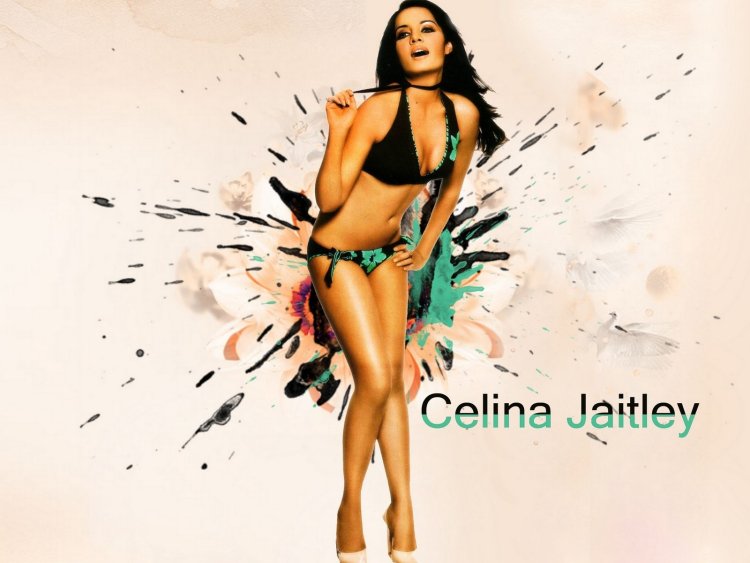 Celina Jaitley Pregnant
