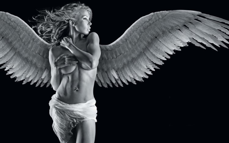 Beautiful girls with wings