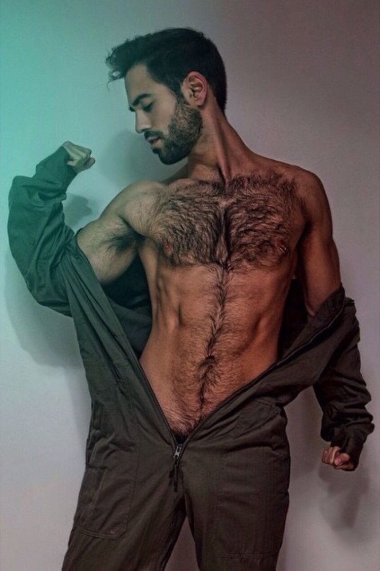 Hairy torso