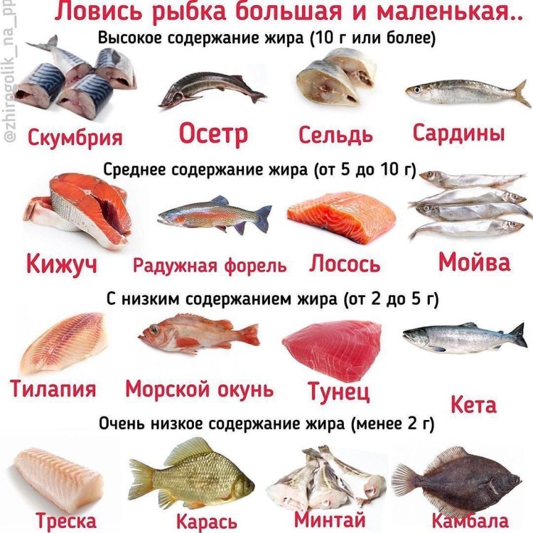 Pisces with high protein content