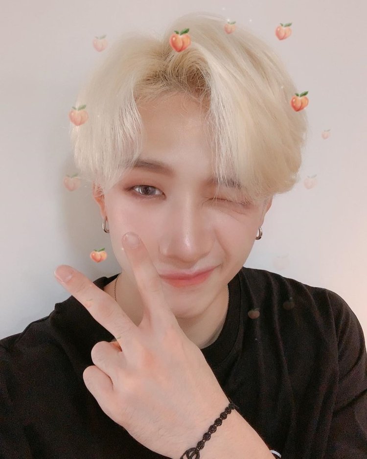 Bunch Christopher Chan Stray Kids