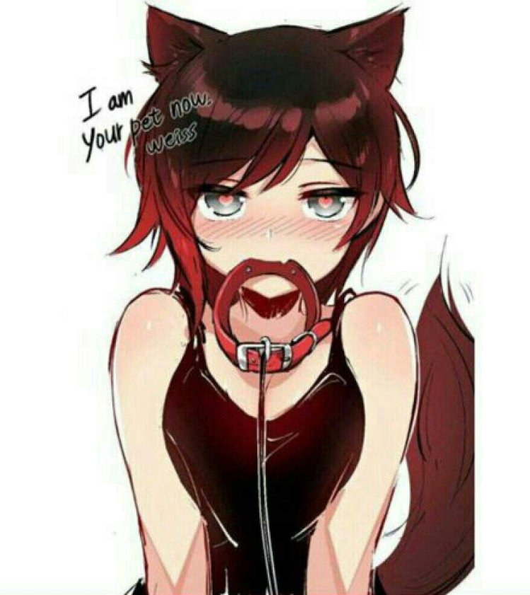 Fell Chara cat in a collar