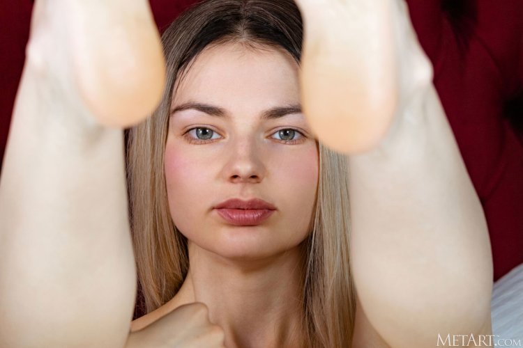 Francesca (Francesca) rose