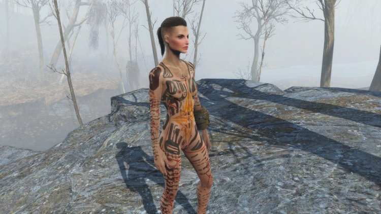 Fallout 4 Jane body