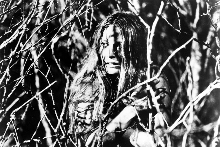 Teri McMinn Texas Chainsaw Massacre 1974